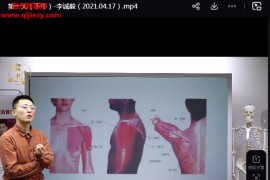 李澤波松筋活骨視頻課程29集百度網盤下載學習